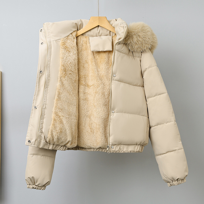 Wool Coat Peacoat - Winter Short Parkas Women's Cotton-padded Clothes