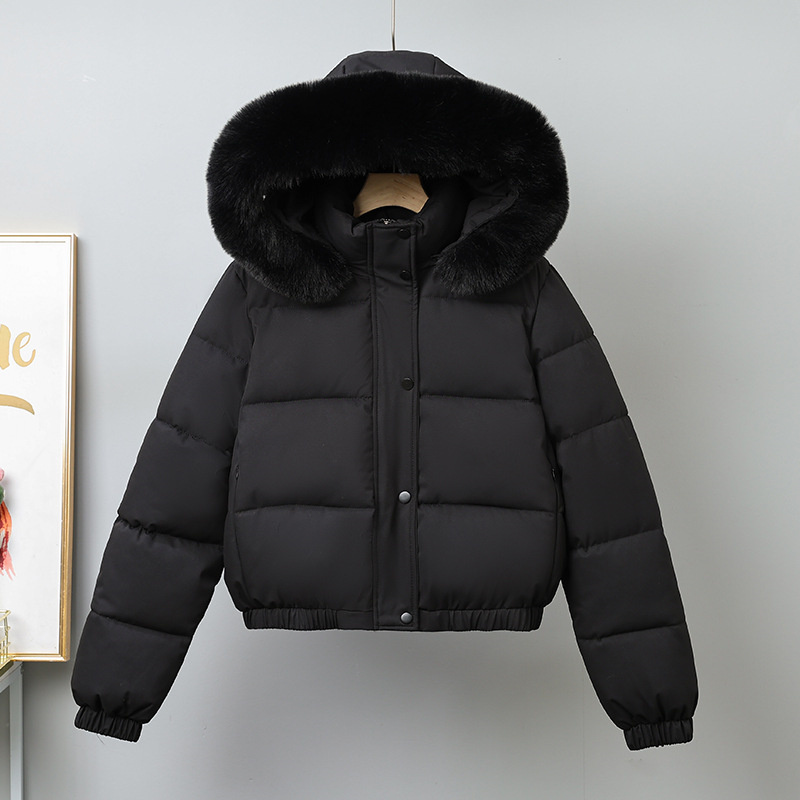 Winter Short Parkas Women's Co - đánh giá và giá Wool Coat Peacoat